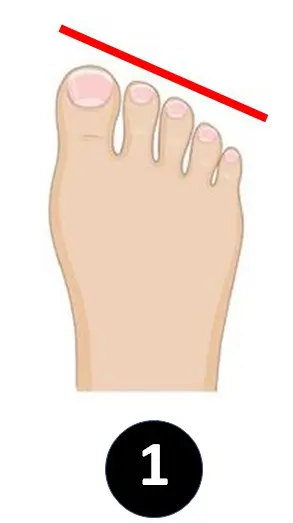 egyptian-toes-personality-big-toe-length-personality-1