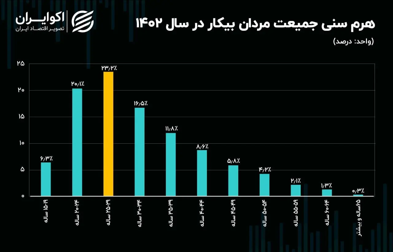 بیکاری در سال ۱۴۰۲ به روایت آمار و ارقام