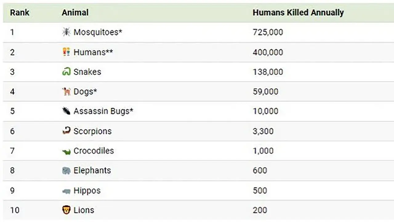 ۱۰ حیوان مرگباری که هر ساله بیشترین تعداد انسان ها را می کشند 