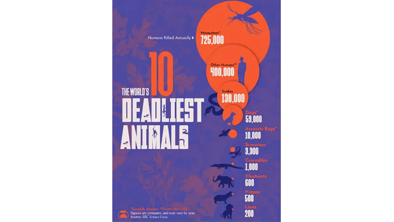 ۱۰ حیوان مرگباری که هر ساله بیشترین تعداد انسان ها را می کشند 