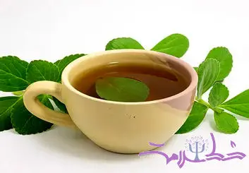 چای بولدو چه خواصی دارد که اینقدر محبوب شده است؟ 