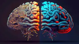 پارافیلیا برای چه افرادی و در چه سنی اتفاق می افتد؟ 