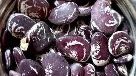 فواید شگفت انگیز لوبیا عروس برای سلامتی