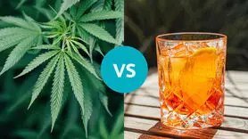 بیشترین استفاده از ماری جوانا مربوط به این گروه سنی است!