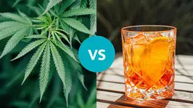 بیشترین استفاده از ماری جوانا مربوط به این گروه سنی است!
