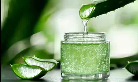 9 گیاه دارویی برای درمان آکنه و لک پوست