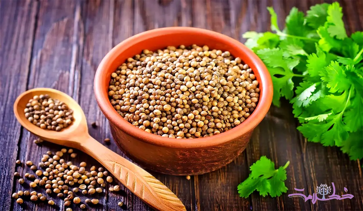 اهمیت مصرف گشنیز در آشپزی +  طرز تهیه پلو و مرغ با گشنیز