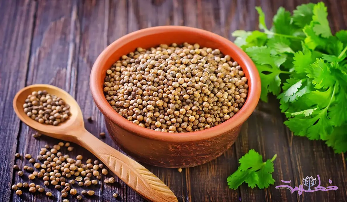 اهمیت مصرف گشنیز در آشپزی +  طرز تهیه پلو و مرغ با گشنیز
