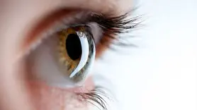 چه غذایی بینایی را قوی تر می کند؟ 