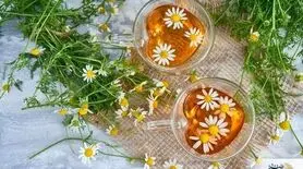 11 دمنوش‌ طبیعی برای آرامش ذهن و کاهش استرس روزانه