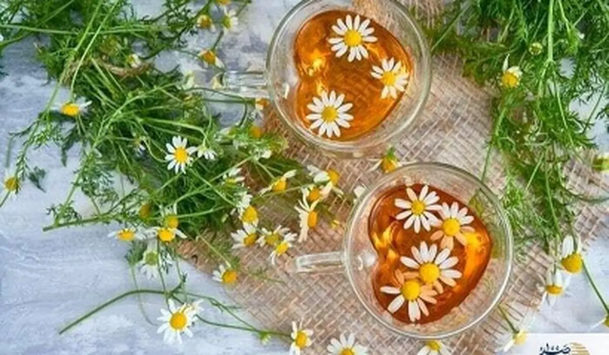11 دمنوش‌ طبیعی برای آرامش ذهن و کاهش استرس روزانه