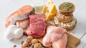 از کودک زیر 4 سال تا مرد 20 ساله چه مقدار پروتئین نیاز دارند؟