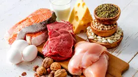 از کودک زیر 4 سال تا مرد 20 ساله چه مقدار پروتئین نیاز دارند؟
