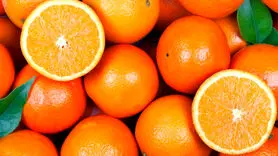 آیا دیابت با این 12 میوه درمان می شود؟ 
