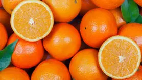 آیا دیابت با این 12 میوه درمان می شود؟ 