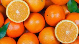آیا دیابت با این 12 میوه درمان می شود؟ 