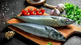 تأثیر رژیم غذایی سرشار از ماهی و آنتی‌اکسیدان‌ 