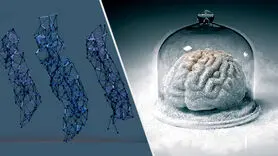 یخ زدگی مغز چه زمانی اتفاق می افتد؟ + چه افرادی مستعد فریز مغزند؟