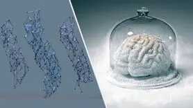 یخ زدگی مغز چه زمانی اتفاق می افتد؟ + چه افرادی مستعد فریز مغزند؟