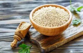 تائید خواص بی نظیر این ماده غذایی ارزان در طب سنتی و مدرن