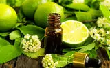درمان نوین افسردگی با بوی سه چیز عجیب اما در دسترس!