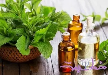 بوی این گیاه خوش‌عطر آسیب های مغزی بیماران آلزایمری راجبران می کند