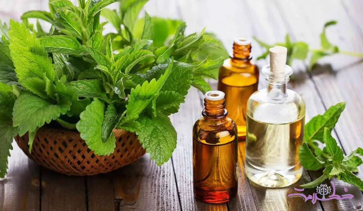 بوی این گیاه خوش‌عطر آسیب های مغزی بیماران آلزایمری راجبران می کند