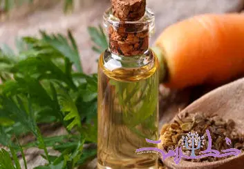 روغن هویج دوست موهای شماست+ روش تهیه