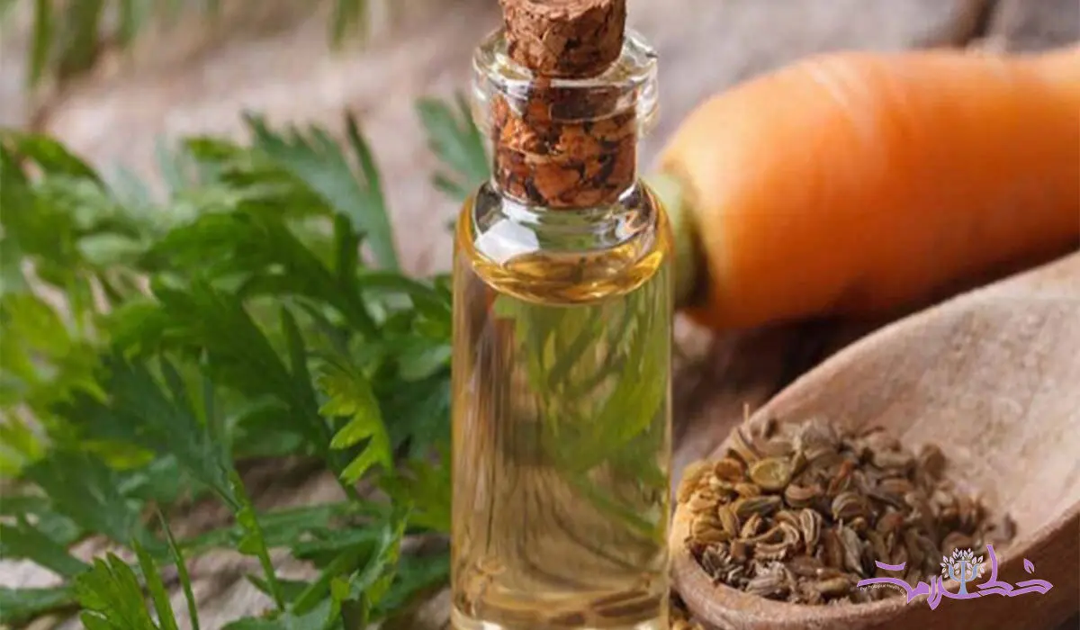 روغن هویج دوست موهای شماست+ روش تهیه