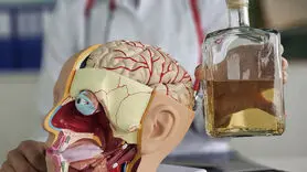حمله الکل به مغز این سه گروه غیر قابل جبران است!