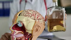 حمله الکل به مغز این سه گروه غیر قابل جبران است!