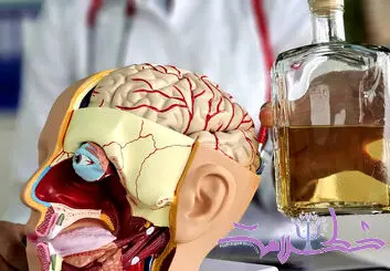 حمله الکل به مغز این سه گروه غیر قابل جبران است!