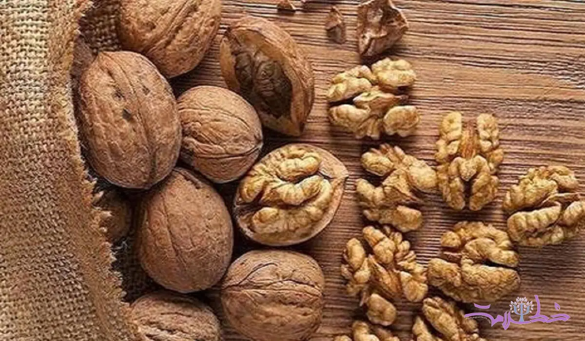 دو خاصیت بی نظیر گردو برای بدن/ اگر بدانید حتما می خورید