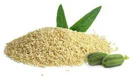 این دانه ارزان بدون دغدغه محکم و استوارتان می کند 