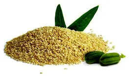 این دانه ارزان بدون دغدغه محکم و استوارتان می کند 