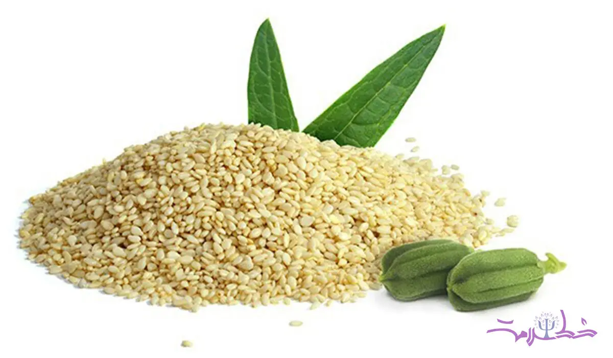 این دانه ارزان بدون دغدغه محکم و استوارتان می کند 