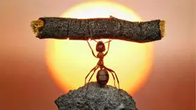 اگر عزت نفس ندارید این فیلم را ببینید + خیلی ساده به دست می آورید