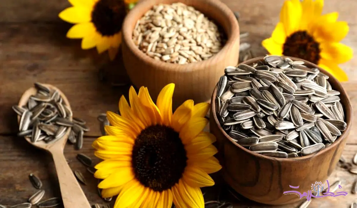 فواید بی نظیر تخمه آفتابگردان لاغری ، استخوان و افسردگی