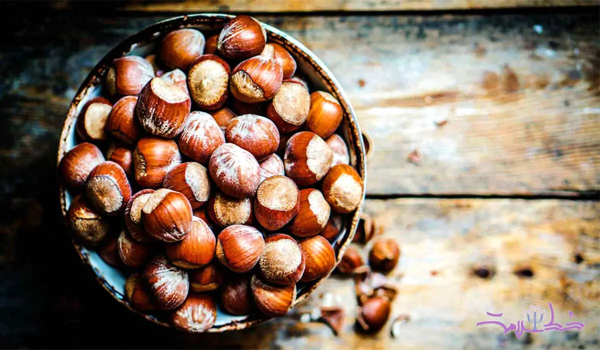 شگفتی های فندق که جادوگر سلامتی است + طرز تهیه فسنجان فندقی