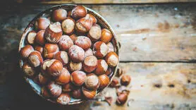 شگفتی های فندق که جادوگر سلامتی است + طرز تهیه فسنجان فندقی