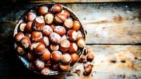 شگفتی های فندق که جادوگر سلامتی است + طرز تهیه فسنجان فندقی