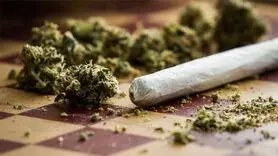 اعتیاد به گل یا توهم جهانی+ آمارها شوک زده تان می کند
