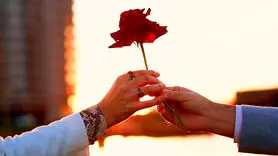 ترک رابطه سمی پس از دیدن این  فیلم برای تان سخت نخواهد بود