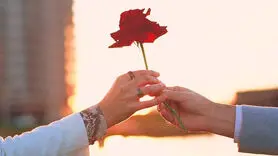ترک رابطه سمی پس از دیدن این  فیلم برای تان سخت نخواهد بود