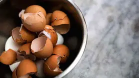 به این 5 دلیل پوست تخم مرغ را دور نریزید