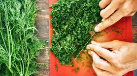 5 فایده شوید برای سلامتی + چه افرادی شوید برای شان ممنوع است