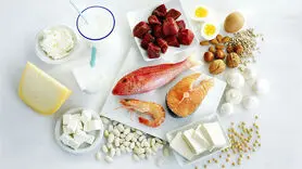 پروتئین مورد نیاز بدن تان چقدر است؟