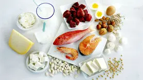 پروتئین مورد نیاز بدن تان چقدر است؟