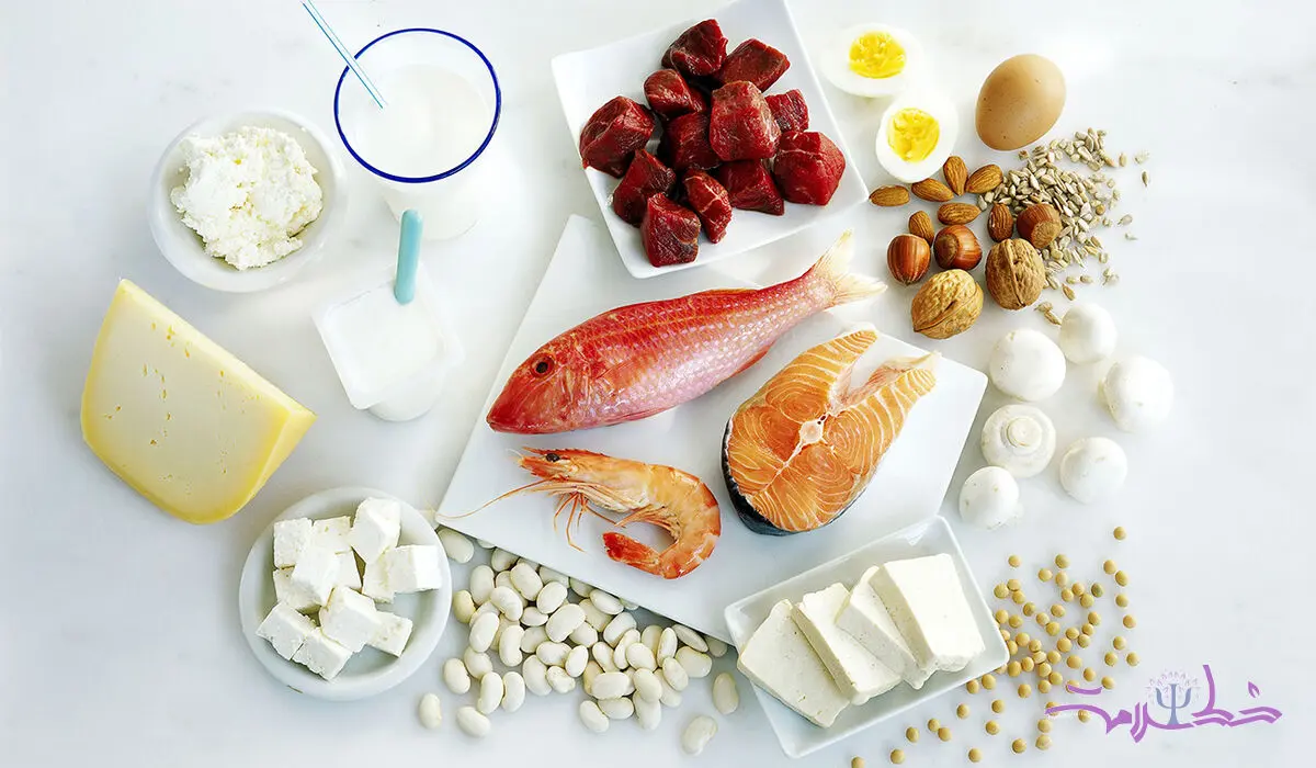 پروتئین مورد نیاز بدن تان چقدر است؟