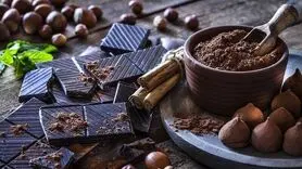  چه بخورید تا  هوس غذا‌های چرب نکنید!